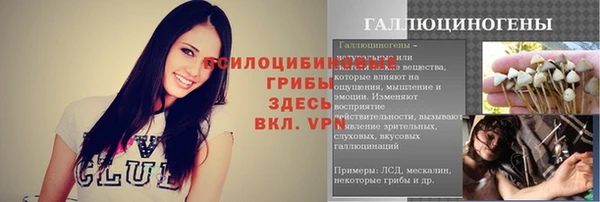 гашиш Ельня